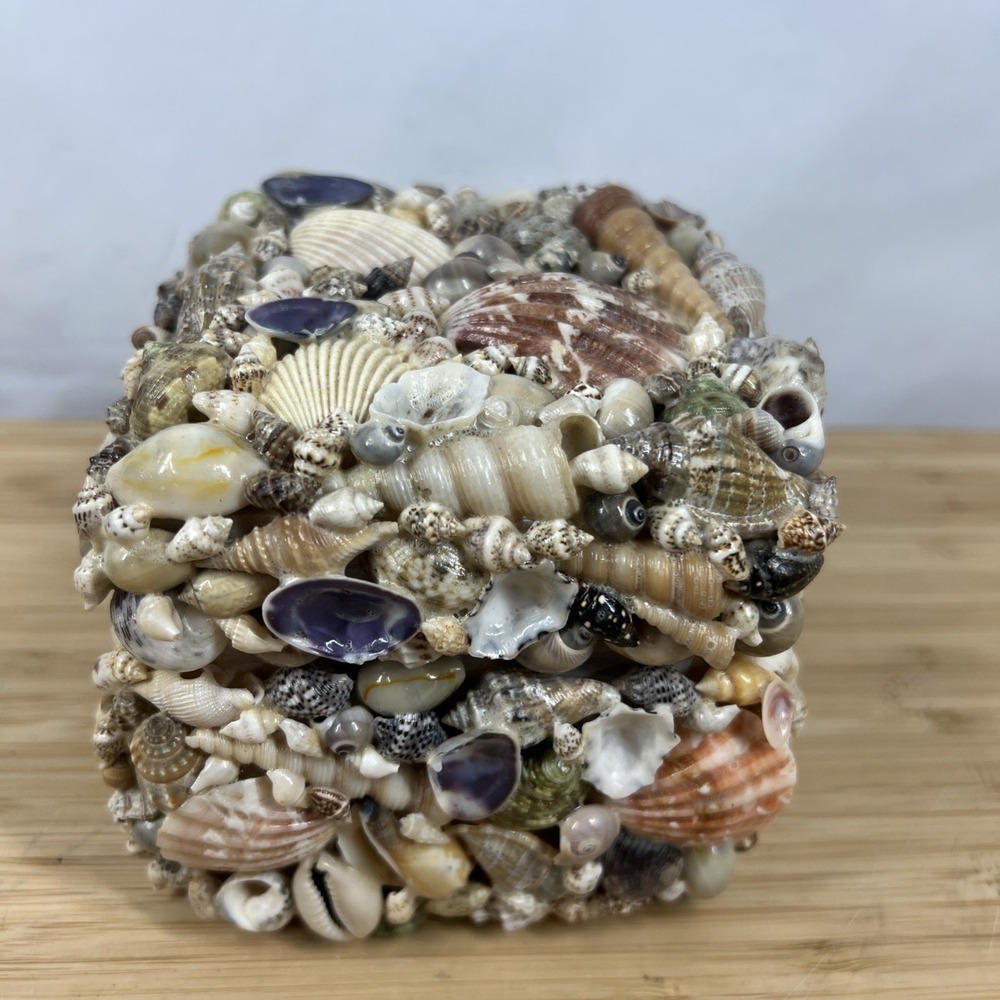 Coastal Collection Seashell Jewelry Trinket Box Beach Coastal Decor New w/ Tag